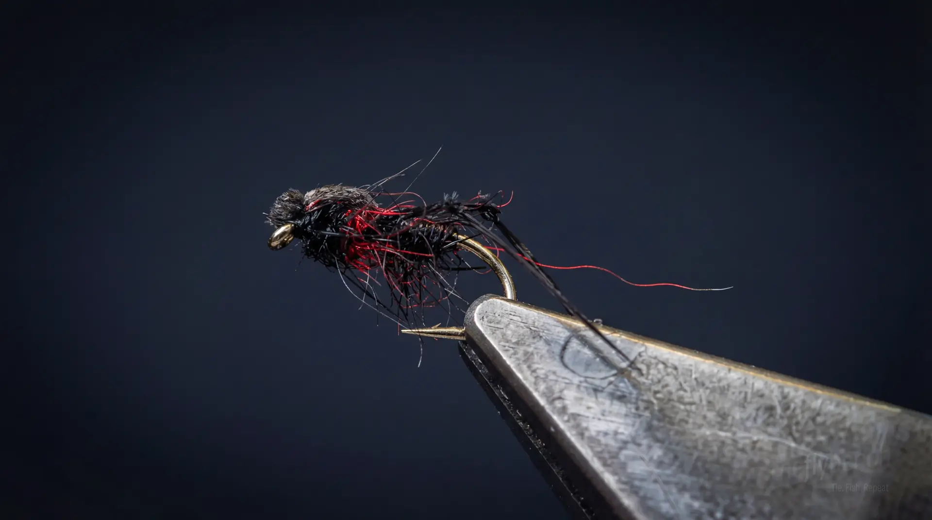 Bibio Marci fly pattern - imitates Mayflies, Caddis tied for Trout