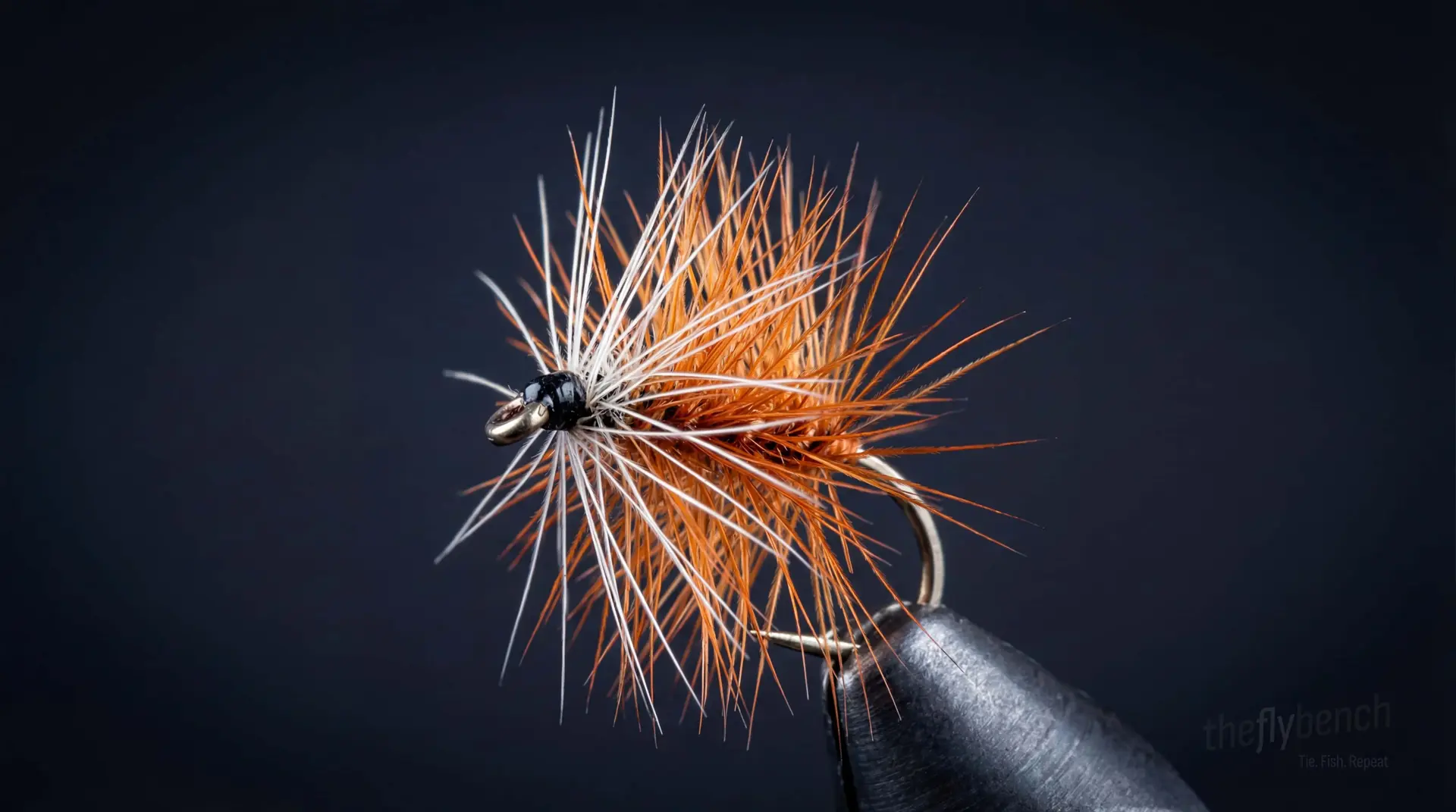 Bivisible fly pattern - imitates Terrestrial Insects tied for Trout