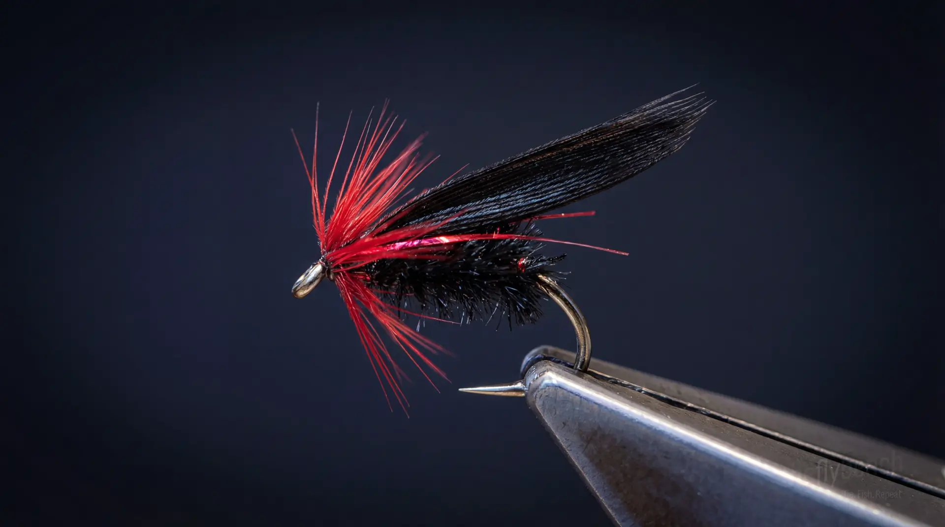 Bog Fly Variant fly pattern - imitates Ants tied for Trout