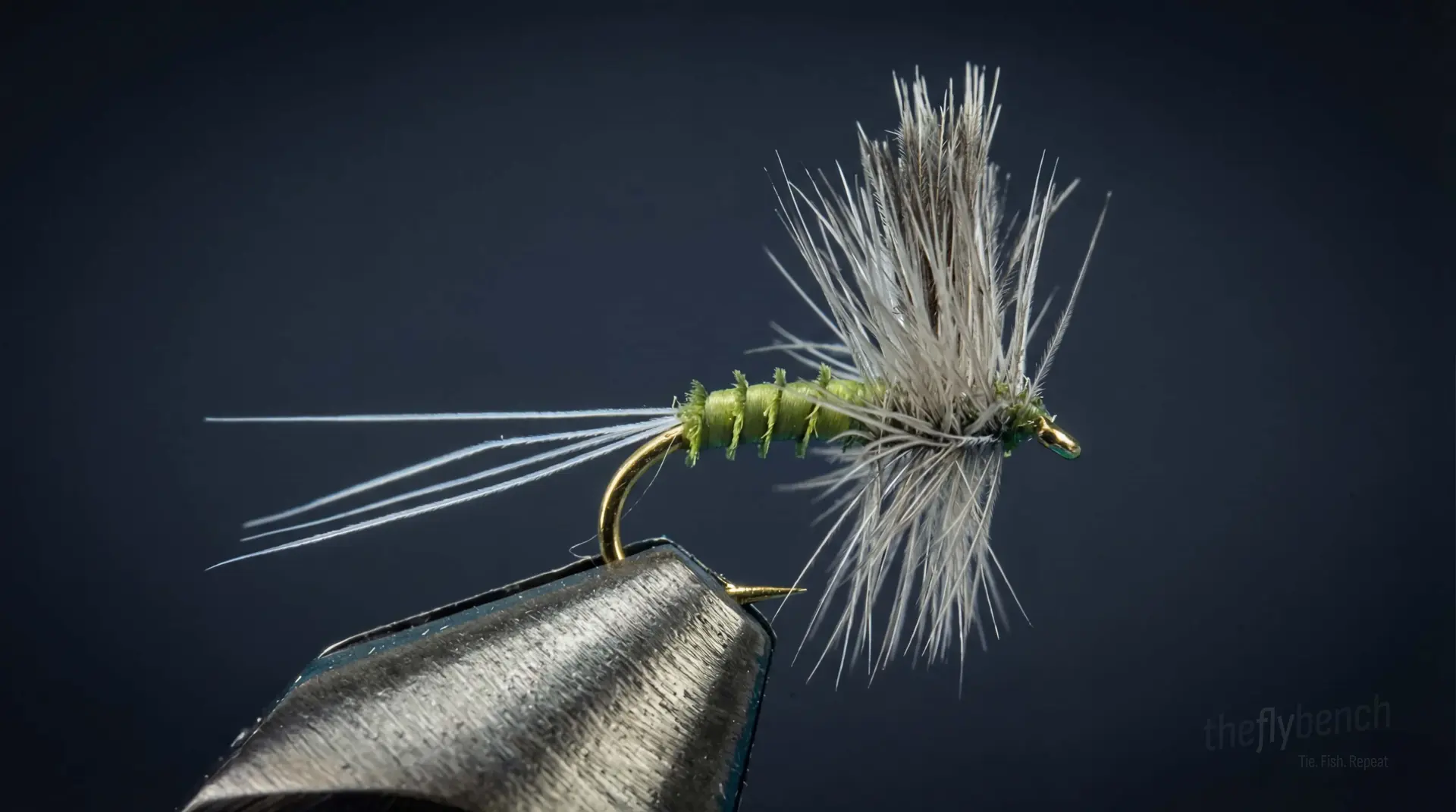 CDC Biot Thorax Dun fly pattern - imitates Mayflies tied for Trout