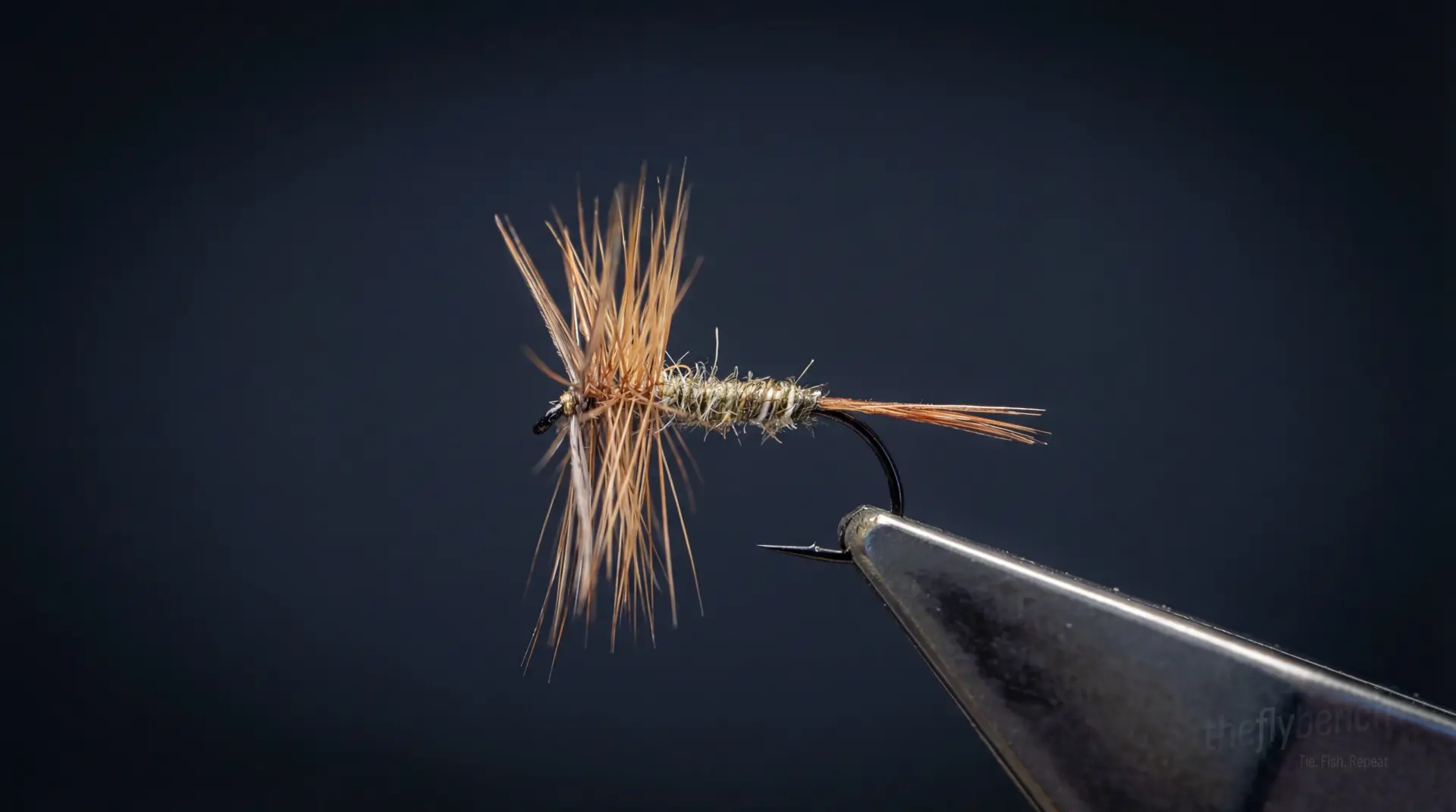Creed fly pattern - imitates Mayflies, Caddis tied for Trout