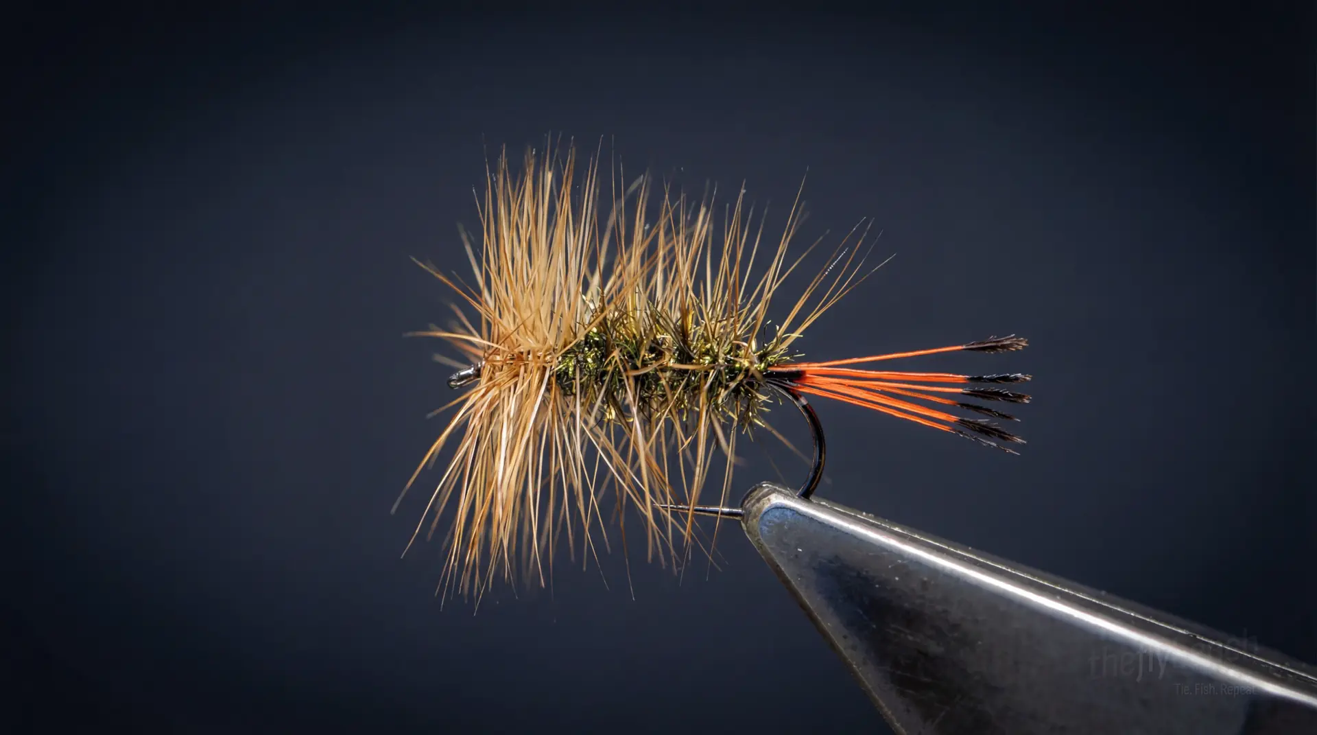 Geehi Beetle Variant fly pattern - imitates Ants tied for Trout