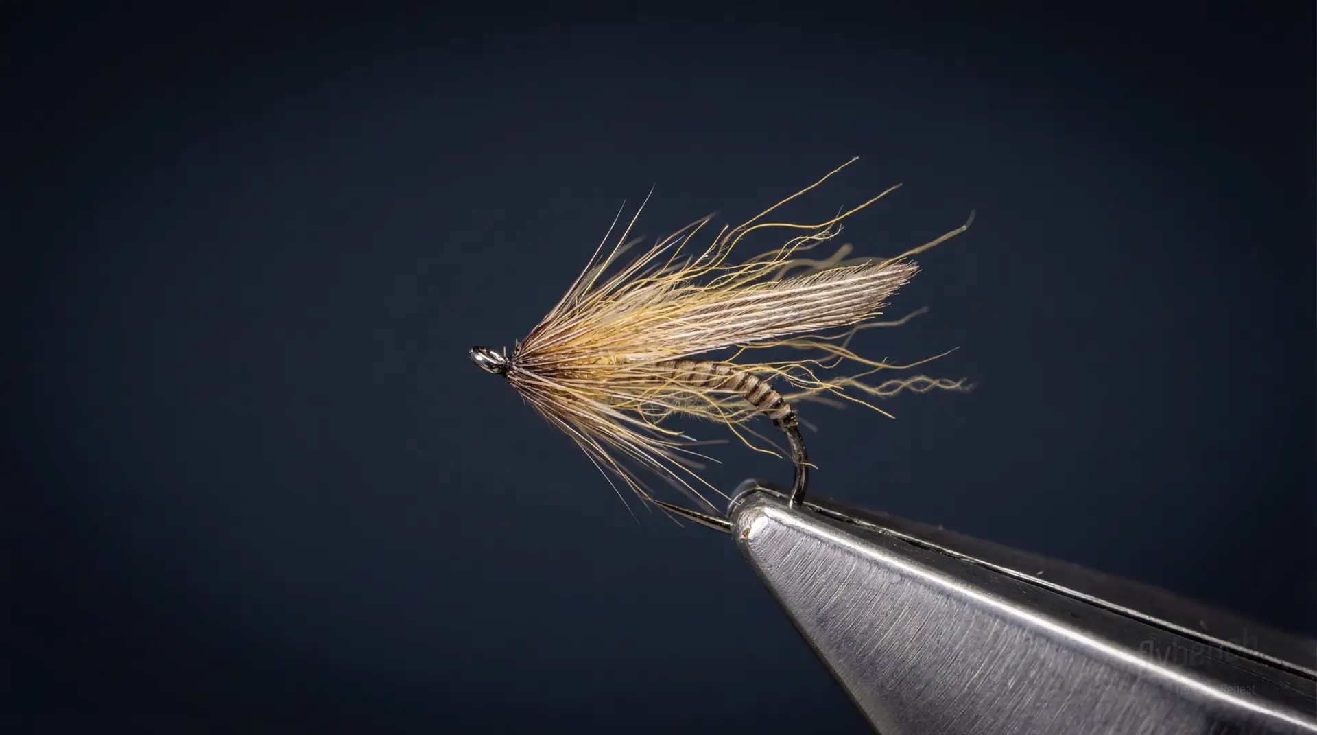 Hatching Olive Variant fly pattern - imitates Ants tied for Trout