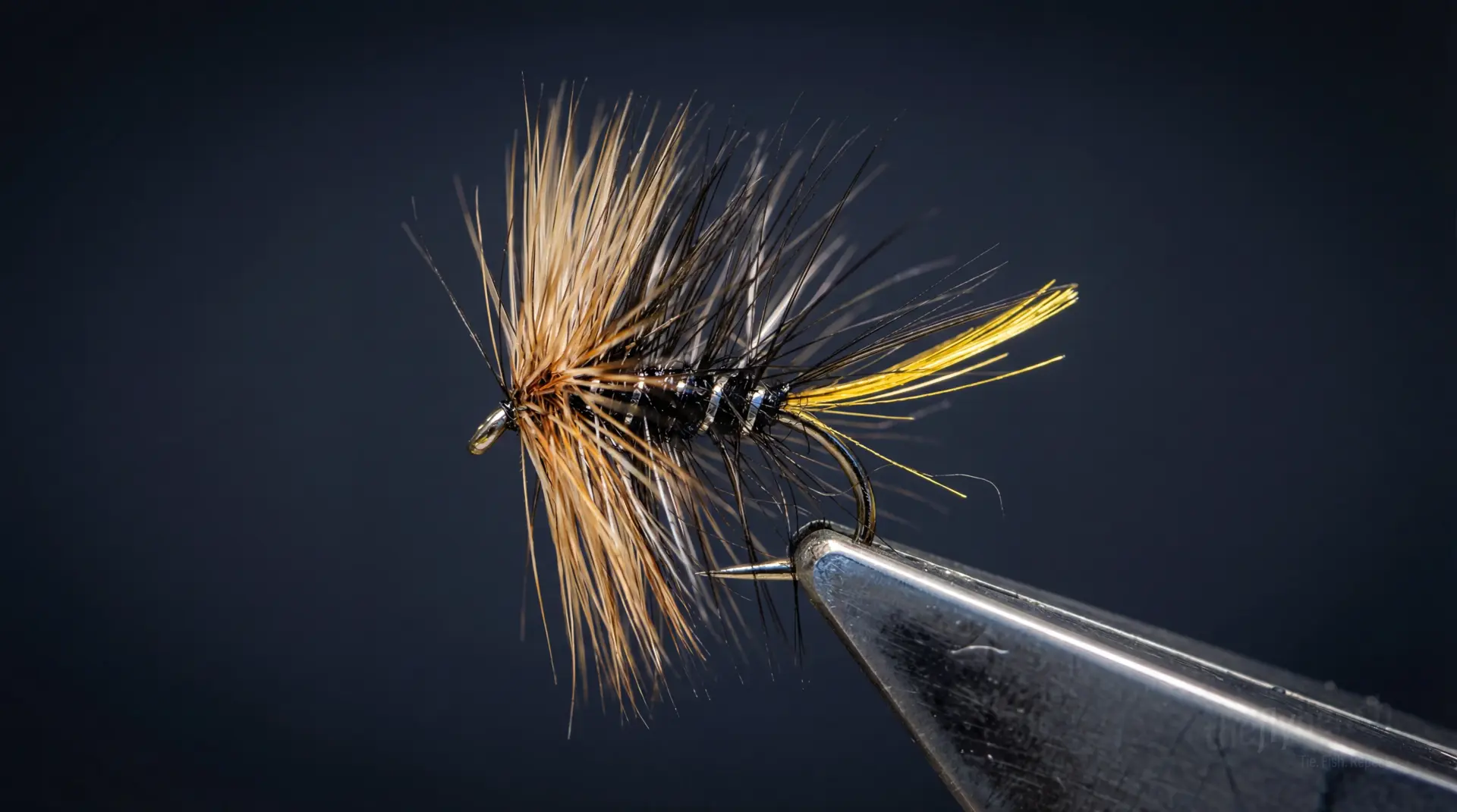 Kate McLaren Variant fly pattern - imitates Ants tied for Trout
