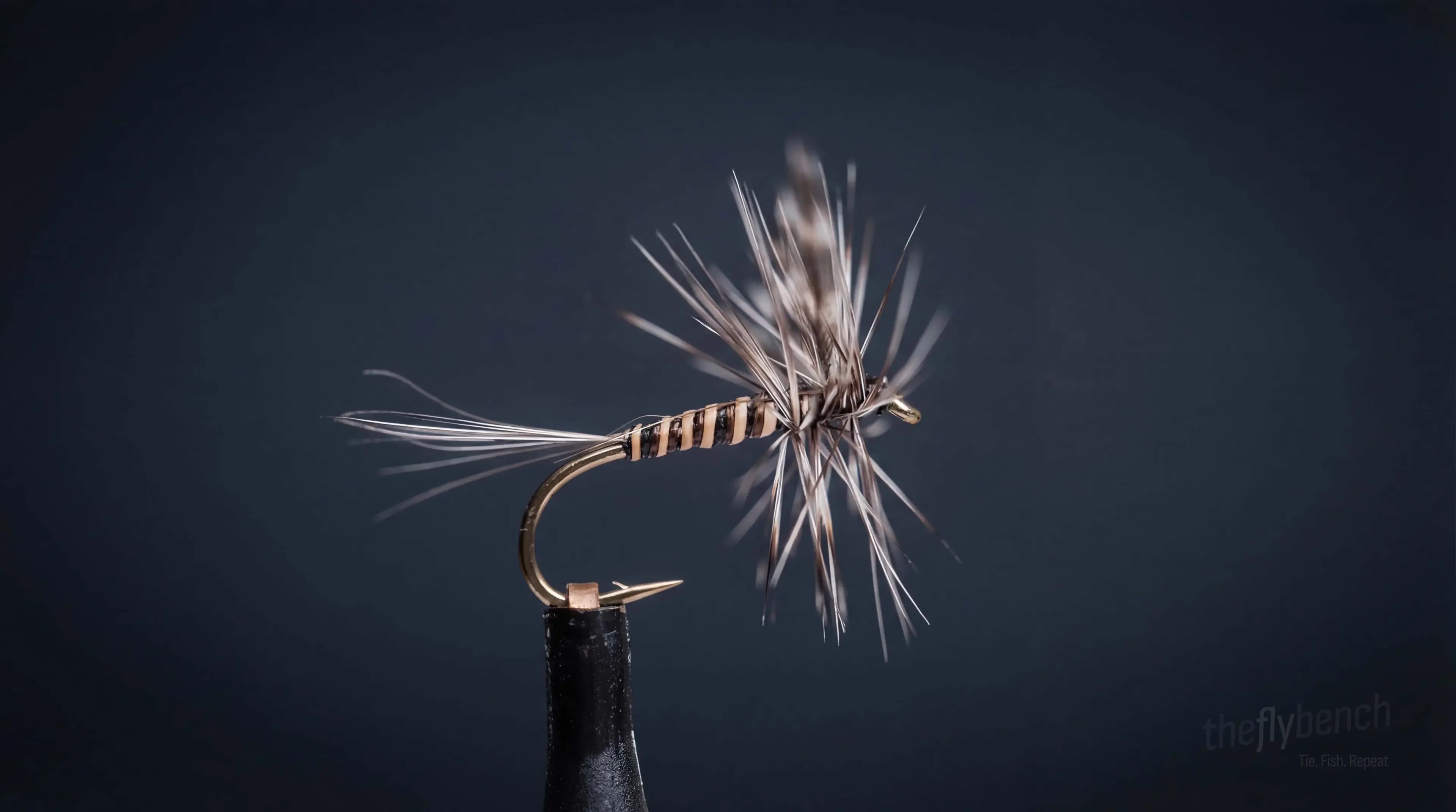 Mosquito Dry Fly - Image source: The Fly Bench