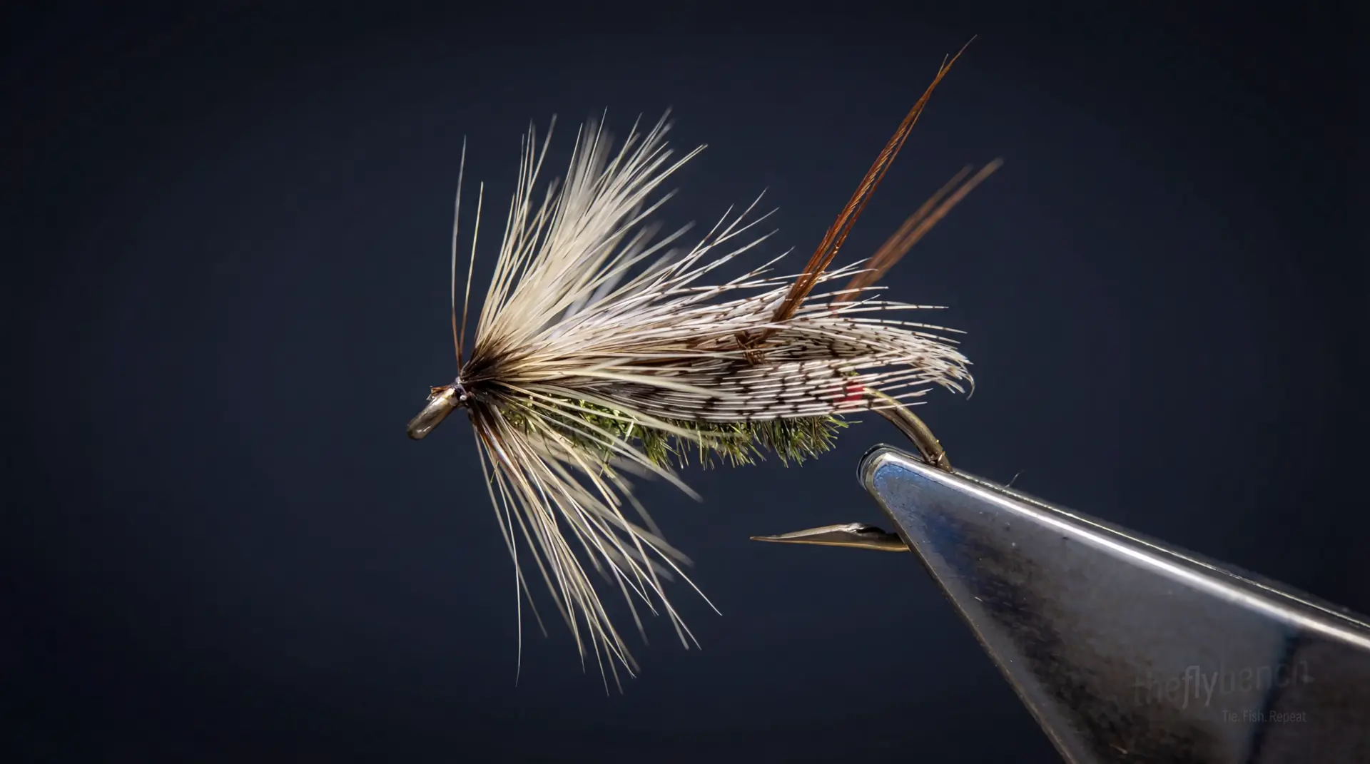 Peacock Despair fly pattern - imitates Mayflies, Caddis tied for Trout