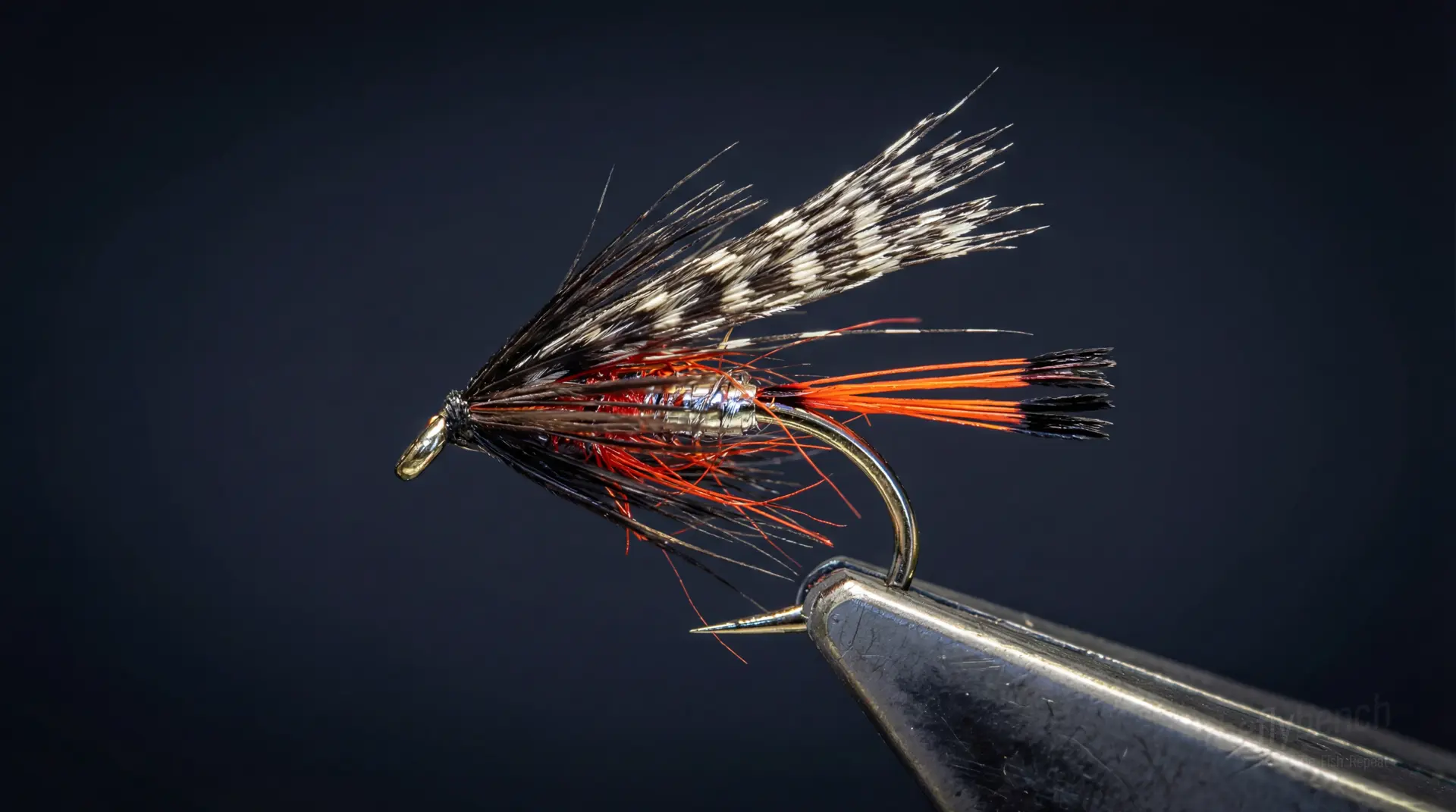 Peter Ross Variant fly pattern - imitates Ants tied for Trout