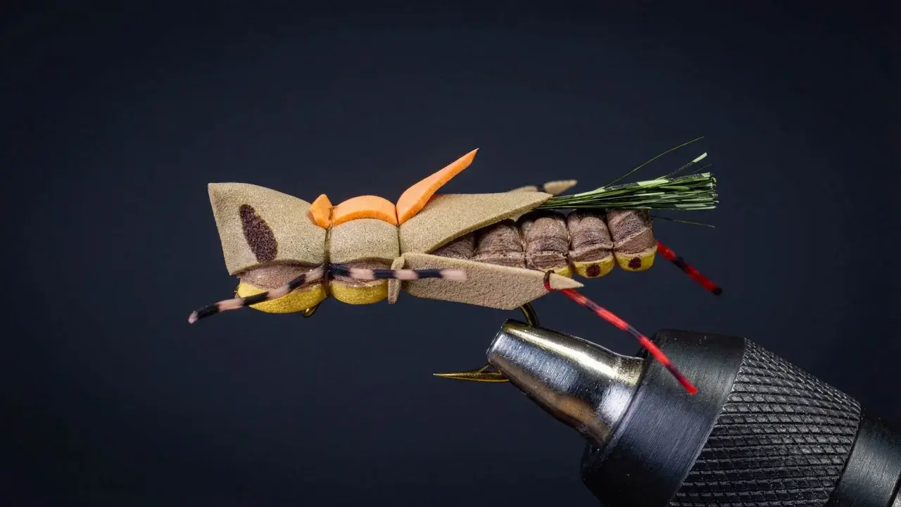 Bakko's Phat Azz Hopper