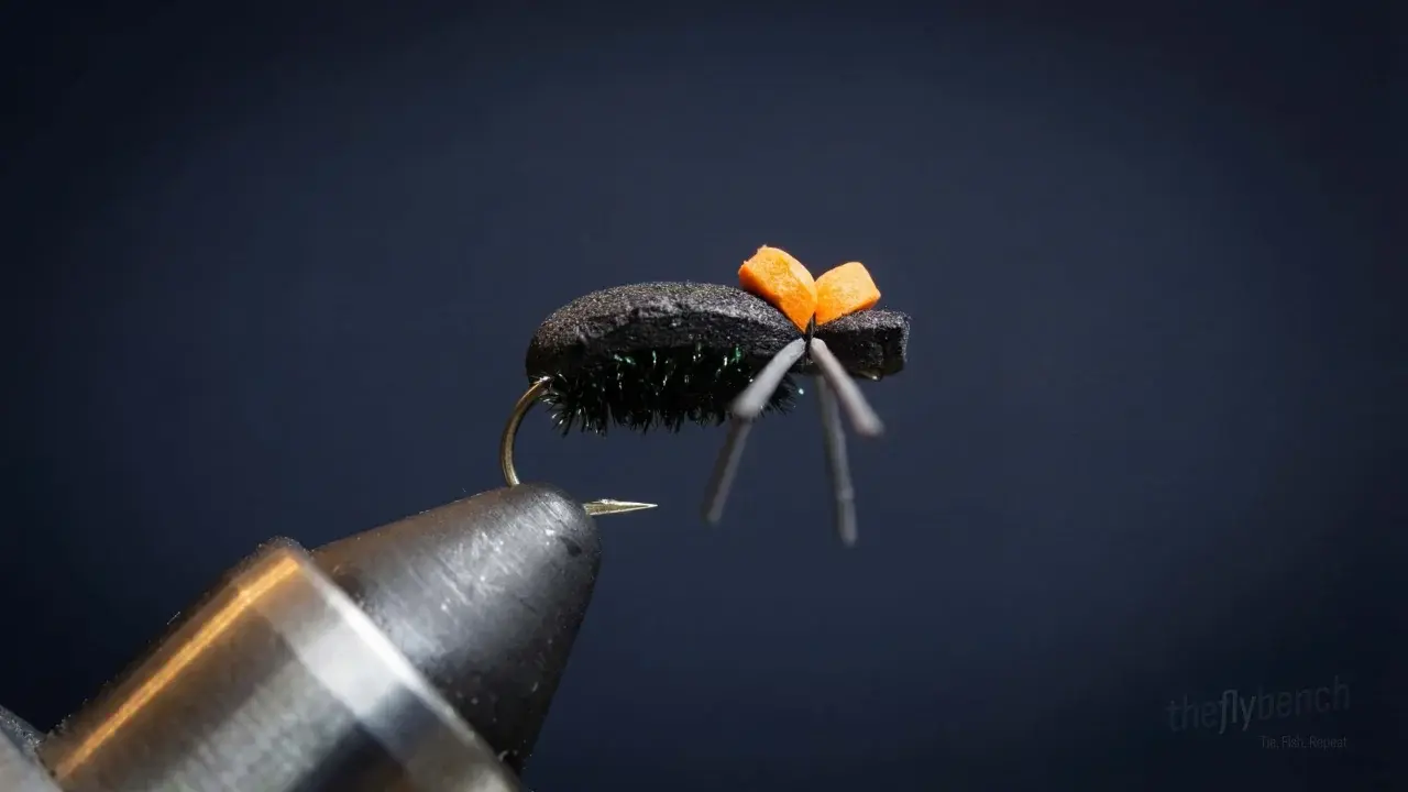 Foam Beetle
