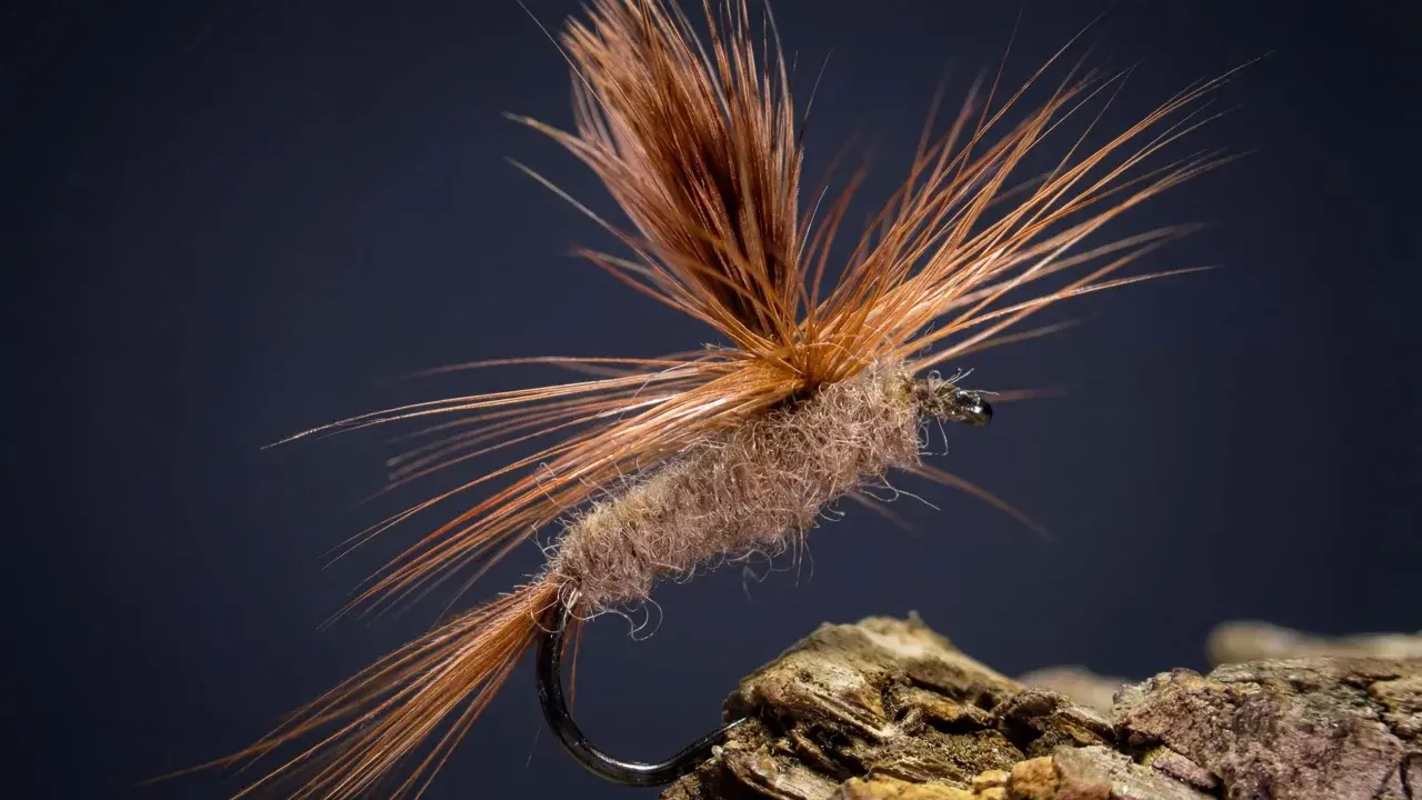 March Brown Parachute