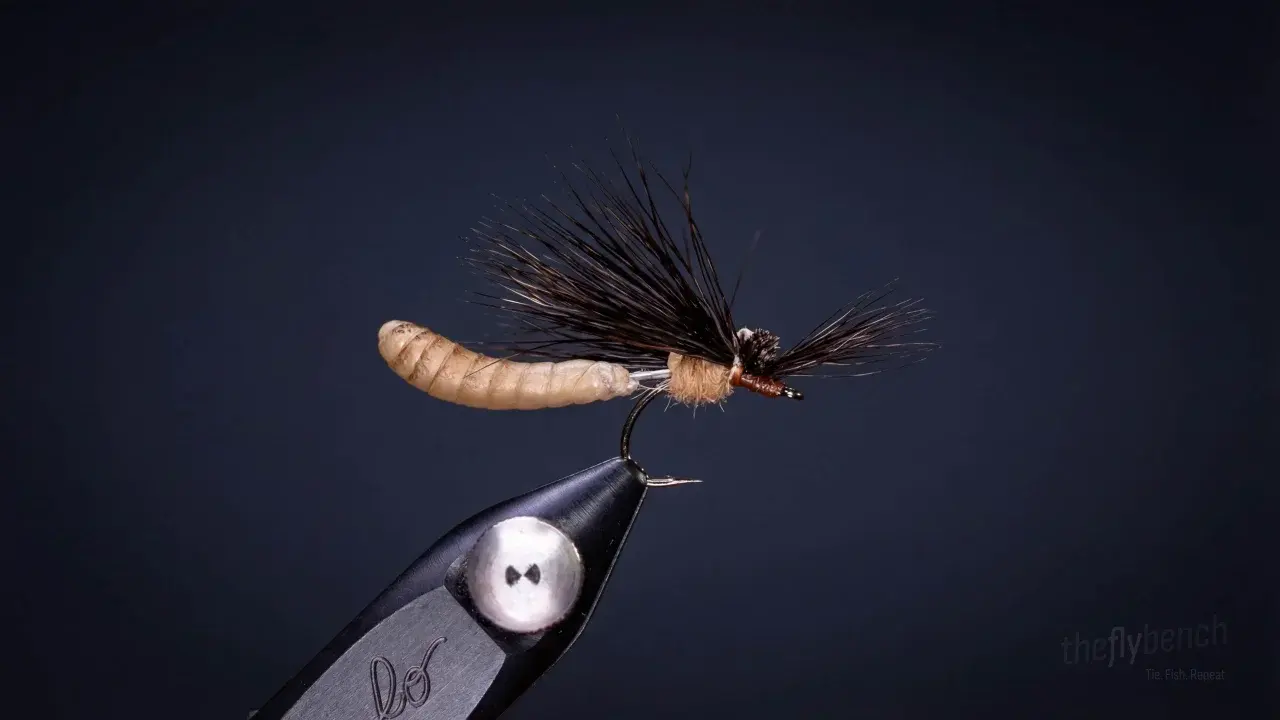 Mr. Jones Cranefly Dry