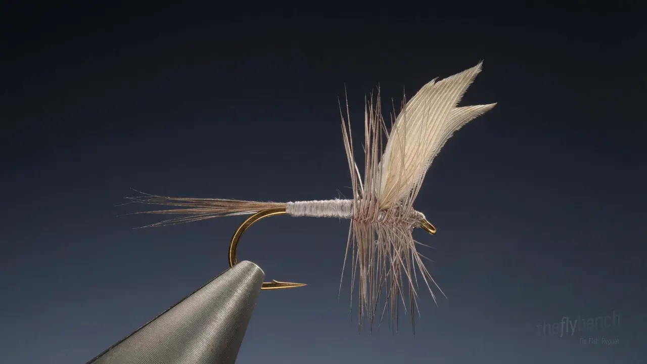 Quill Wing Blue Dun