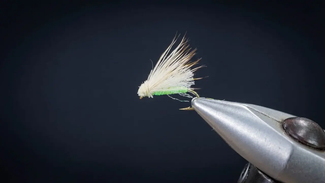 Razor Caddis