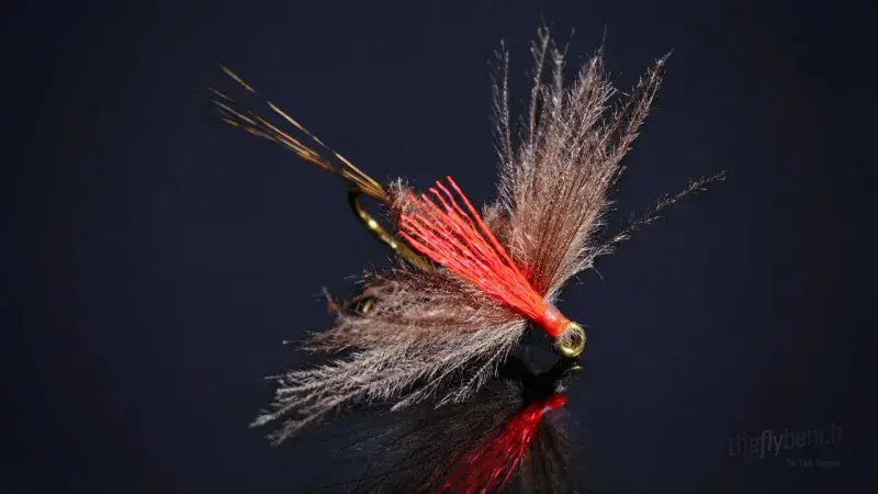 Antonio's Mayfly Adult