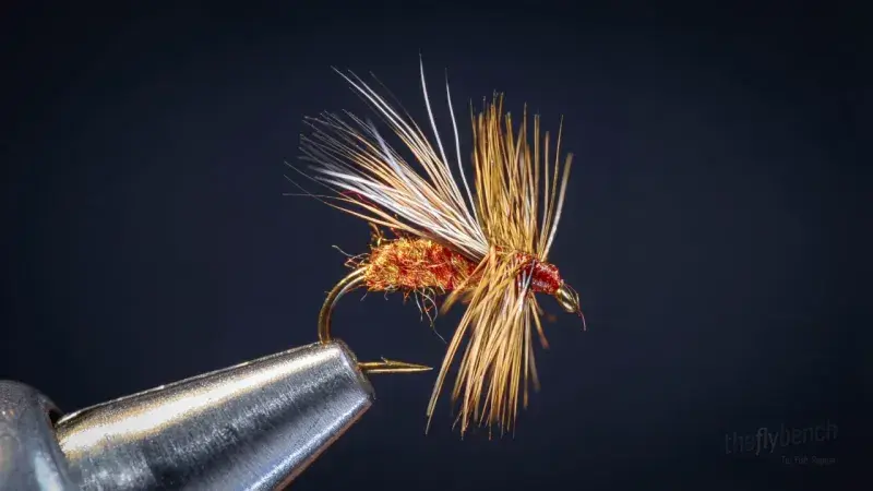 Chuck's Caddis Variant