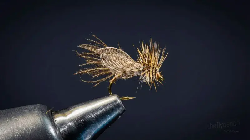 Gerbec's Resting Caddis
