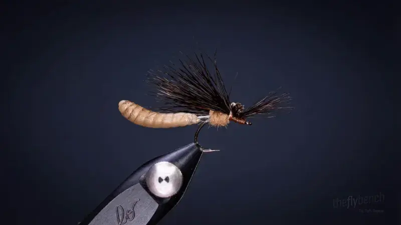 Mr. Jones Cranefly Dry