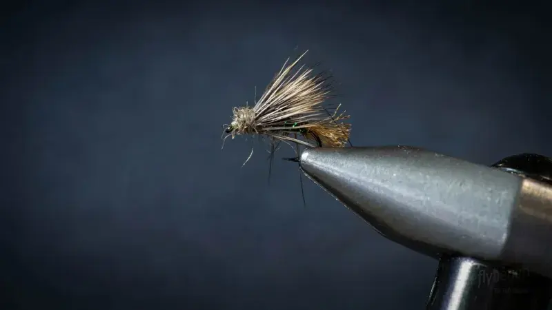 Olive X2 Caddis