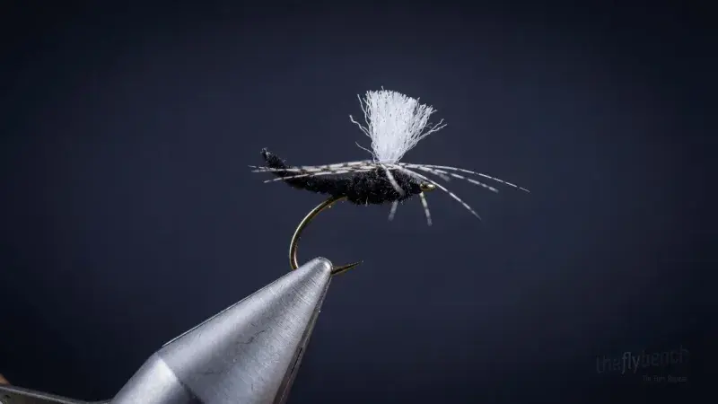 Palomino Partridge Parachute