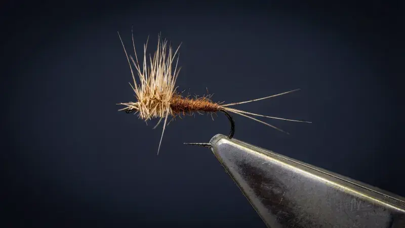 PMDS (Pale Morning Dun Spinner)