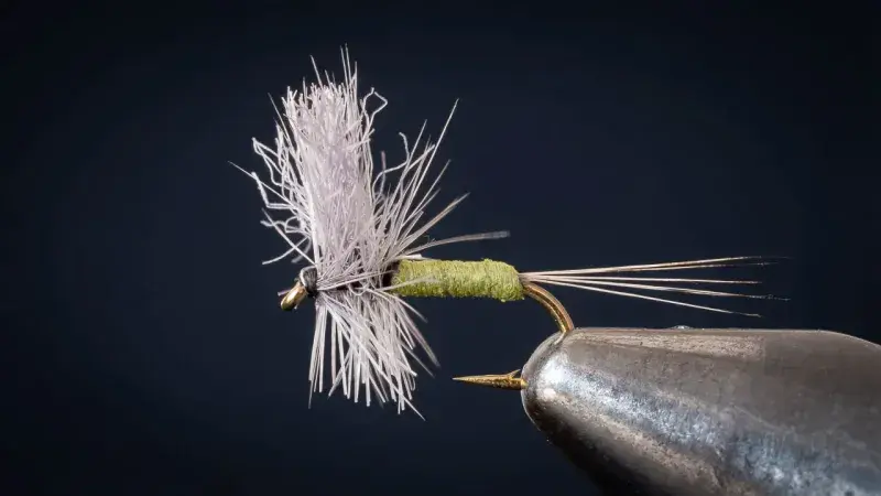 Razor Mayfly