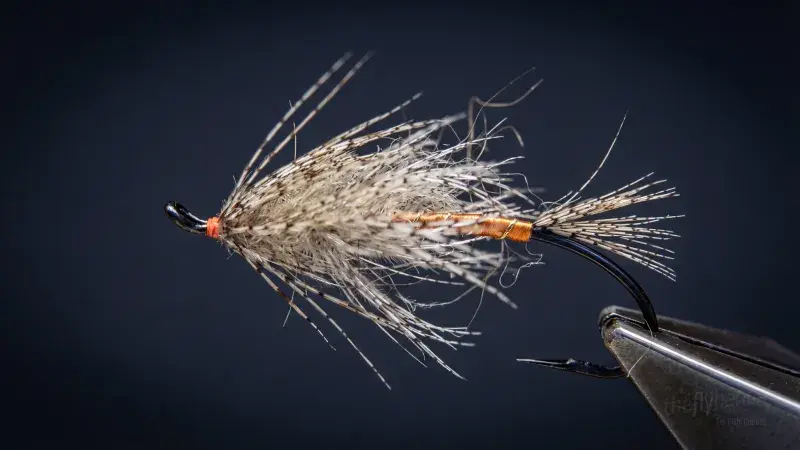 Steelhead Pat