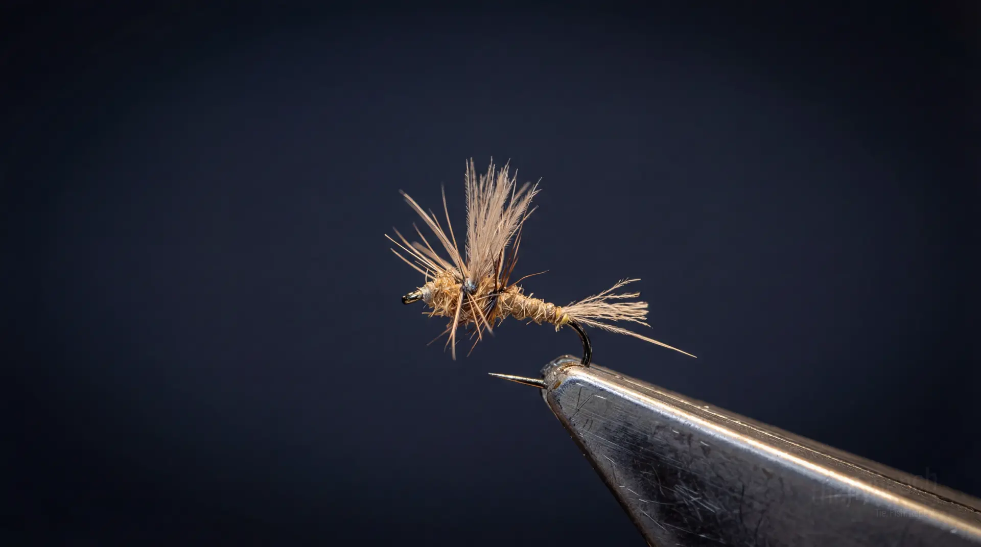 Z-Dun BWO fly pattern - imitates Mayflies tied for Trout