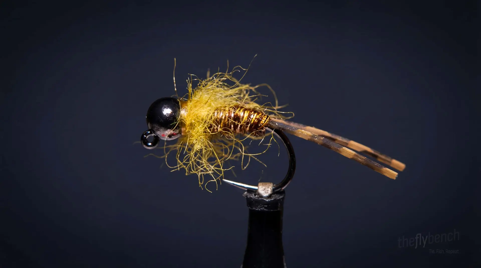 Euro Golden Stone fly pattern - imitates Golden Stonefly Nymphs tied for Trout