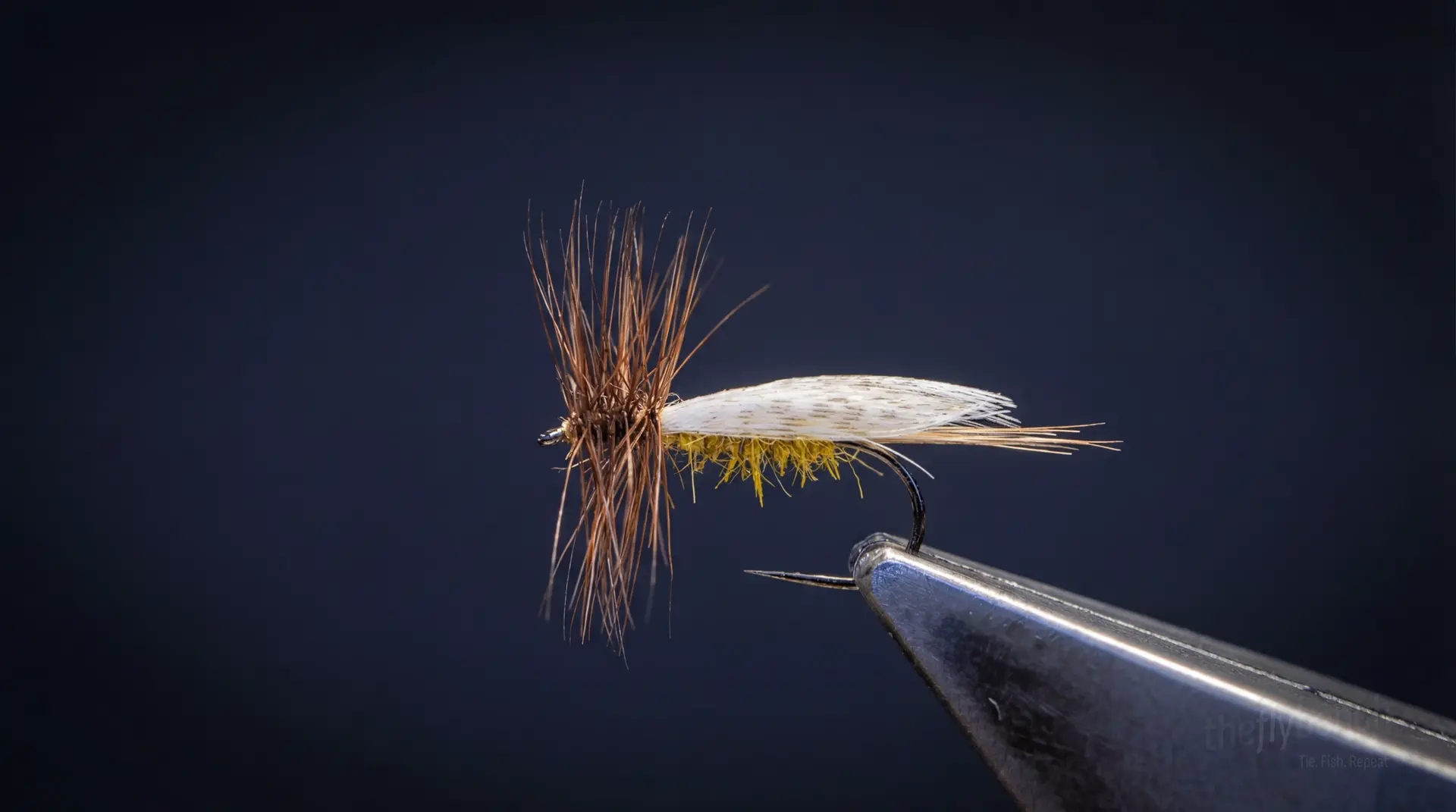 Europe 12 Variant fly pattern - imitates Ants tied for Trout