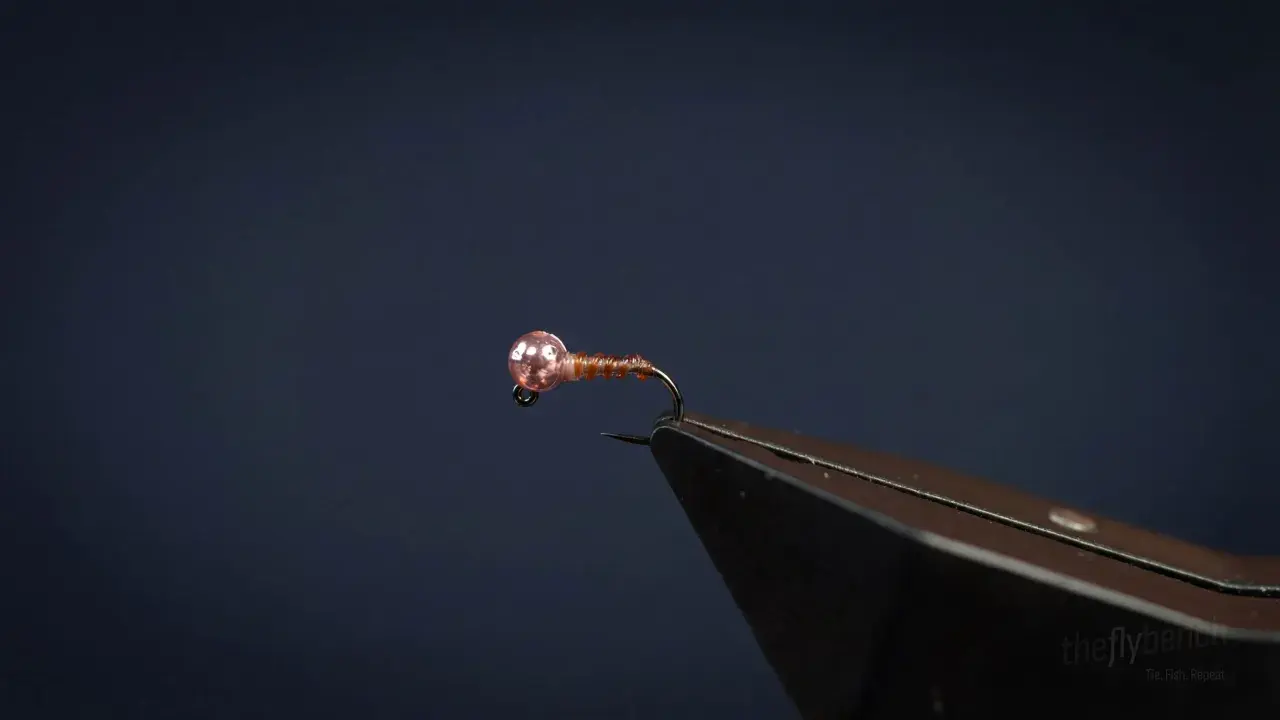 Bomb-Drop Midge Larva