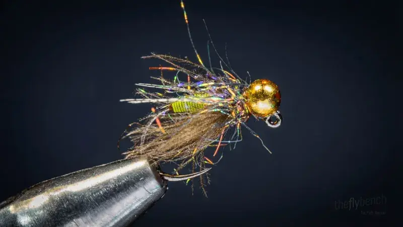 Doctor's Sweetmeat Caddis
