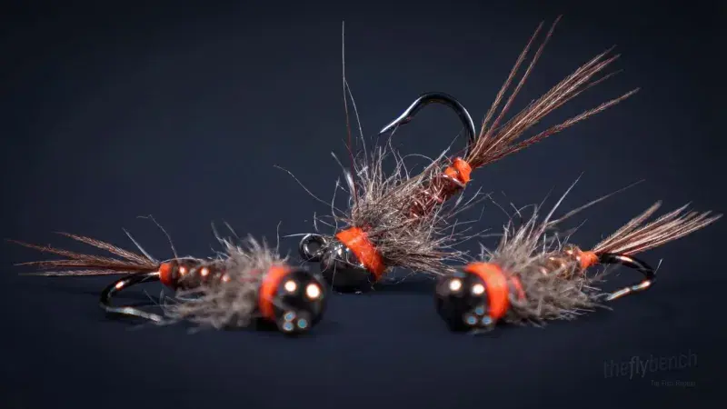 Euro Pheasant Tail