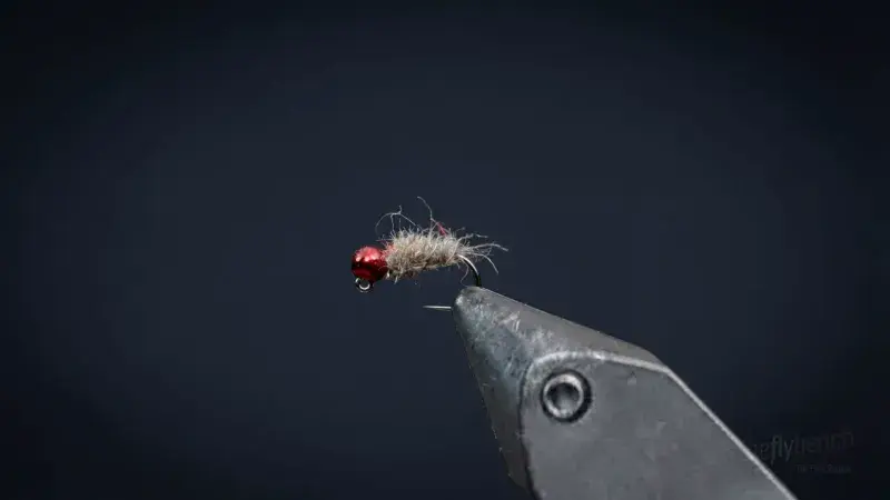 Jigged Garbage Sow Bug
