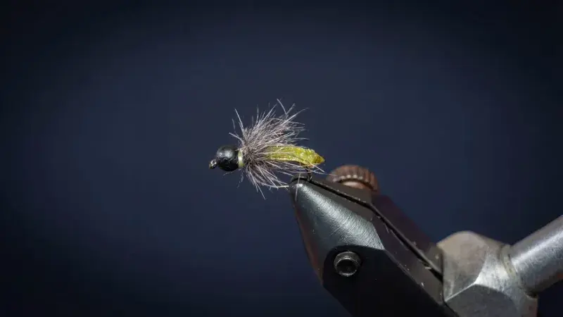 Slick Willie Caddis