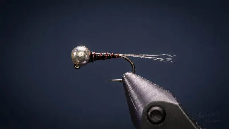 Zebra Bomb Jig