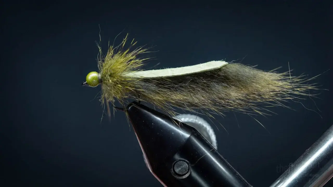 Micro Sour Apple Leech