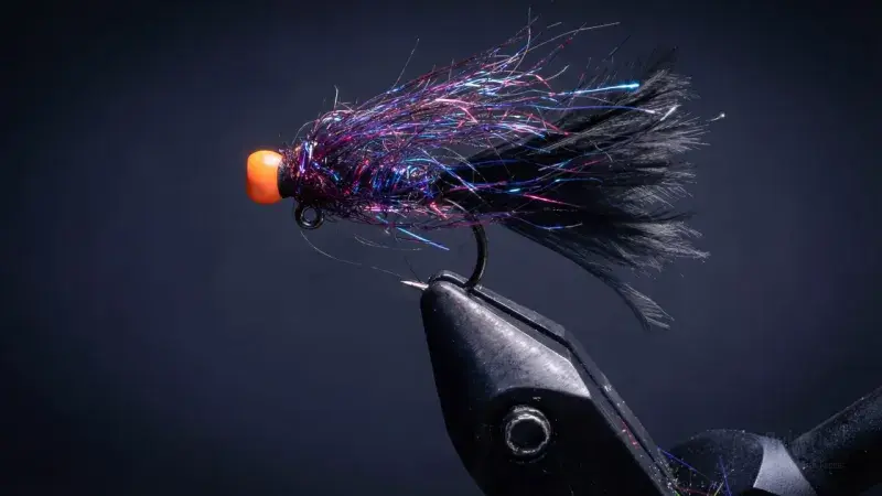 Micro Midnight Fire Balanced Leech