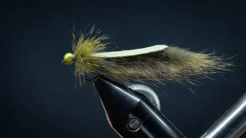 Micro Sour Apple Leech
