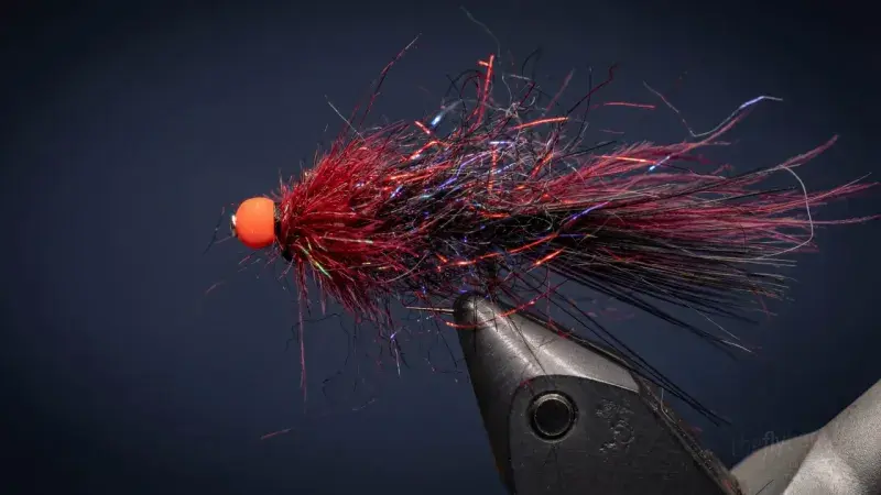 Midnight Fire Balanced Leech