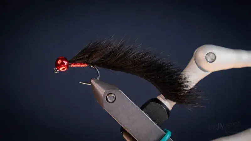 Mohawk Leech