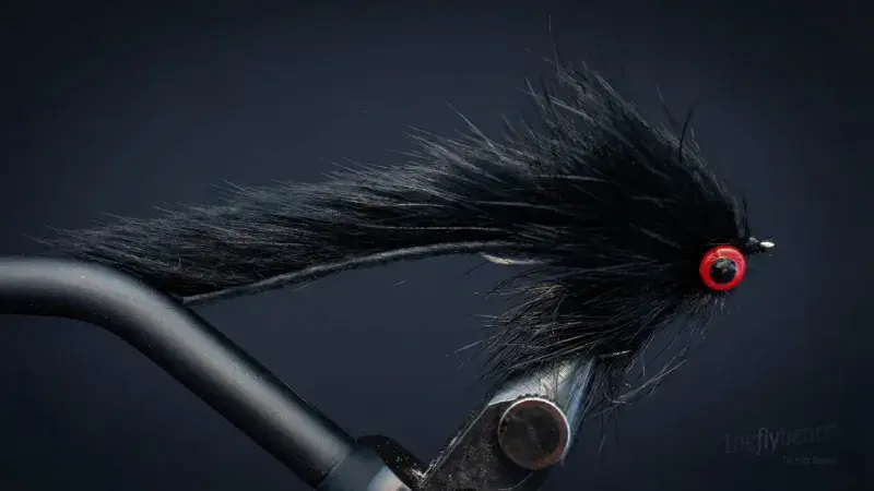 Schultzy's Red Eye Leech