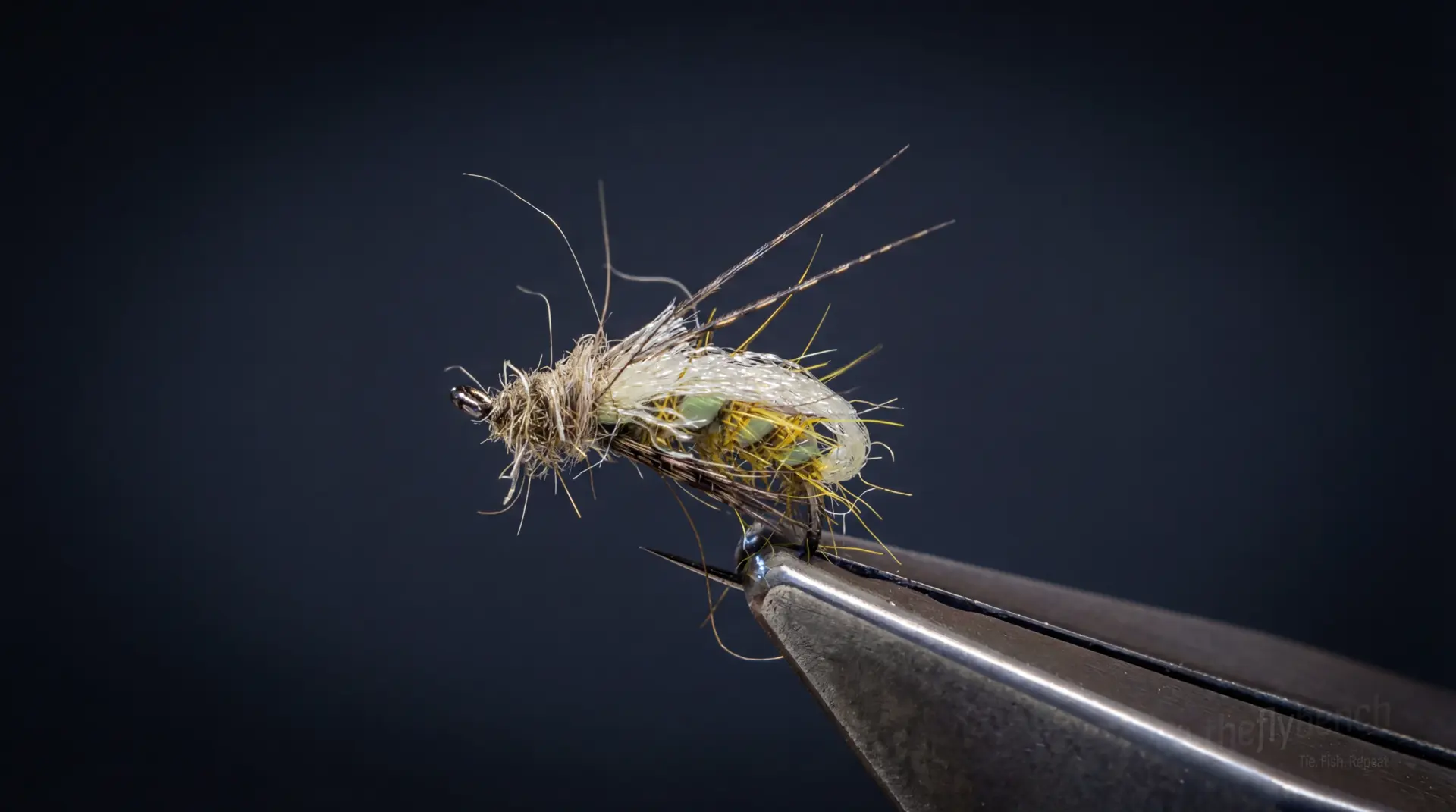 Sparkle Quill Caddis Pupa fly pattern - imitates Caddis tied for Trout