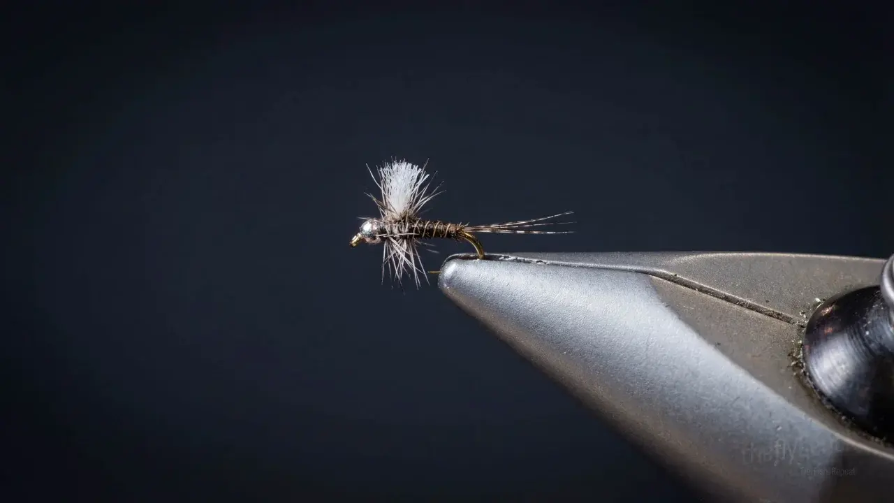 Muskrat Midge