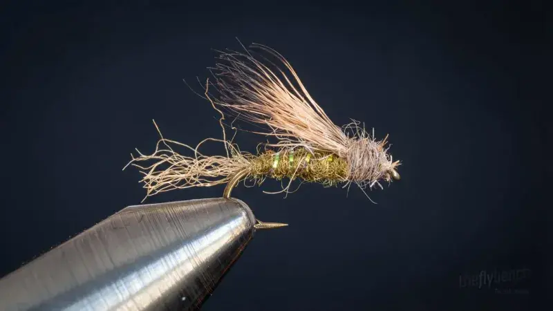 X2 Caddis