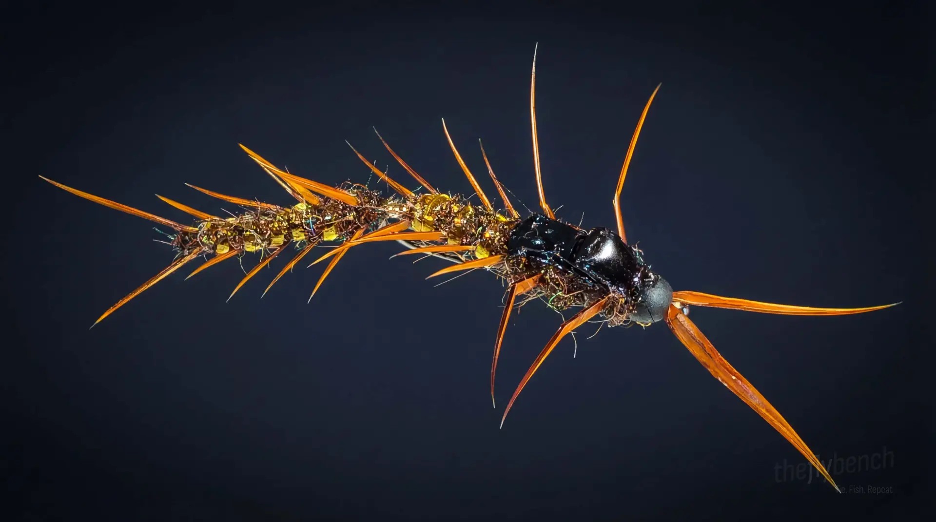 Articulated Hellgrammite fly pattern - imitates Dobsonfly Larvae tied for Trout, Smallmouth Bass