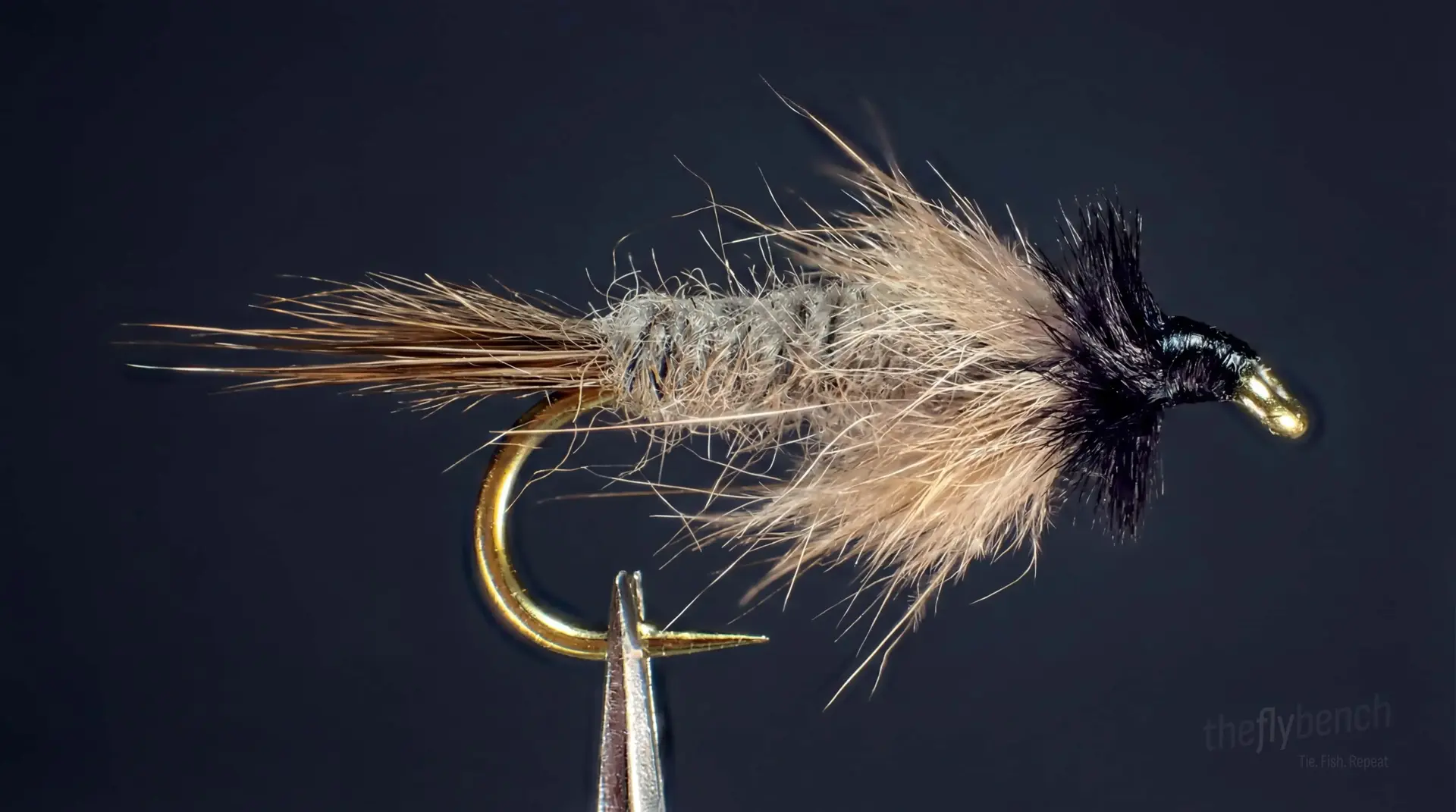 Casual Dress fly pattern - imitates Nymphs tied for Trout