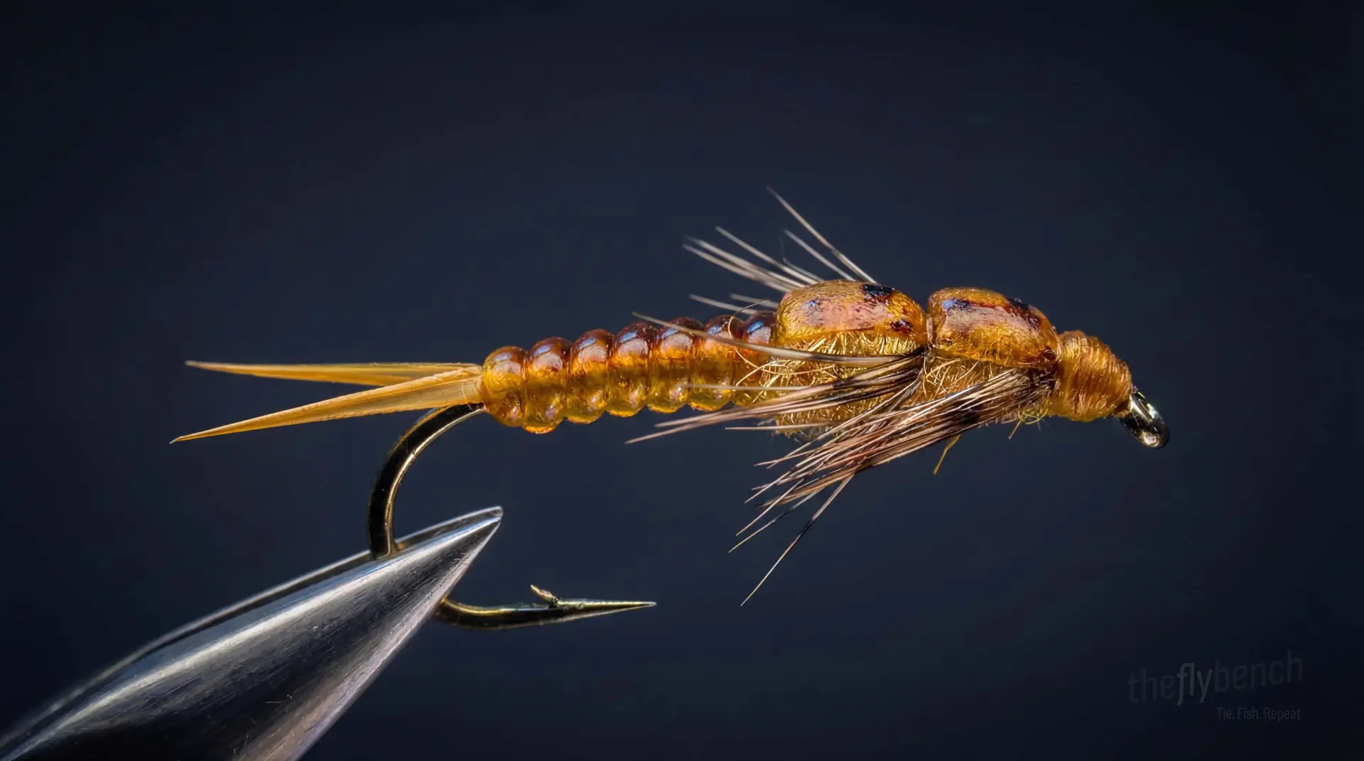 D- Rib Golden Stone fly pattern - imitates Golden Stonefly tied for Trout