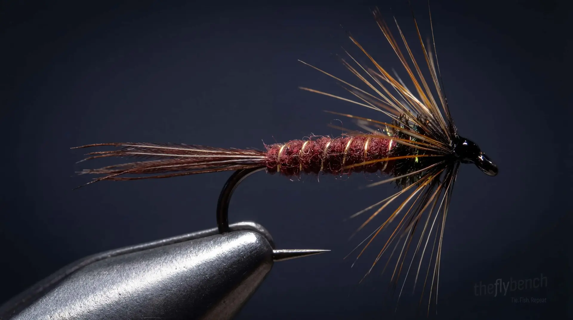 Isonychia Nymph fly pattern - imitates Mayflies tied for Trout