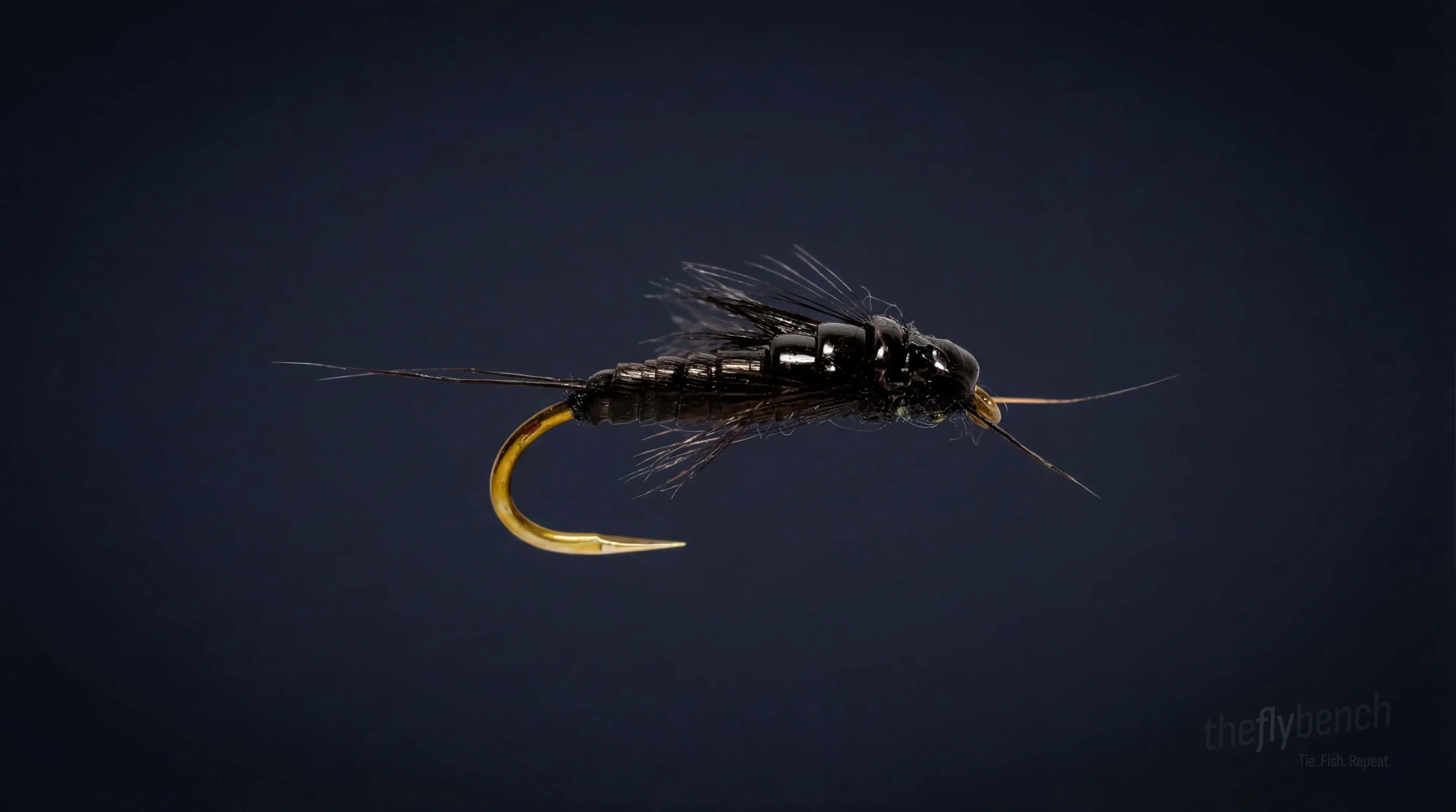 Little Black Stonefly - Image source: The Fly Bench