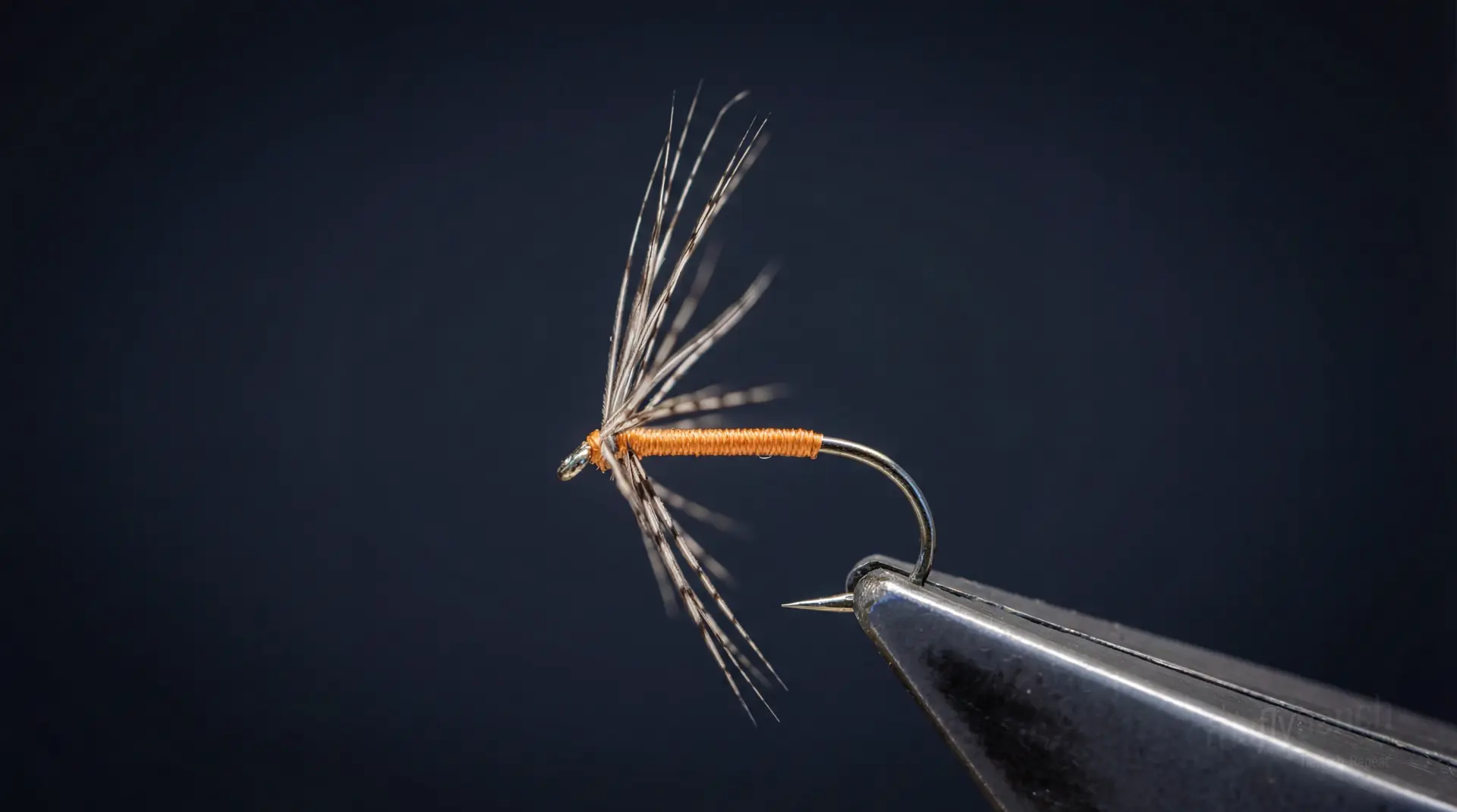 Partridge & Orange fly pattern - imitates Mayfly Nymphs tied for Trout